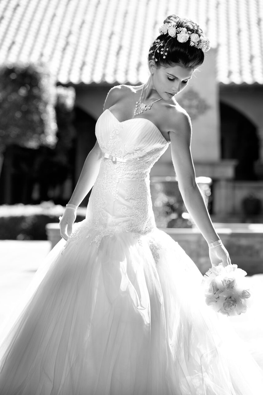 Svetik's Bridal & Fashion Image